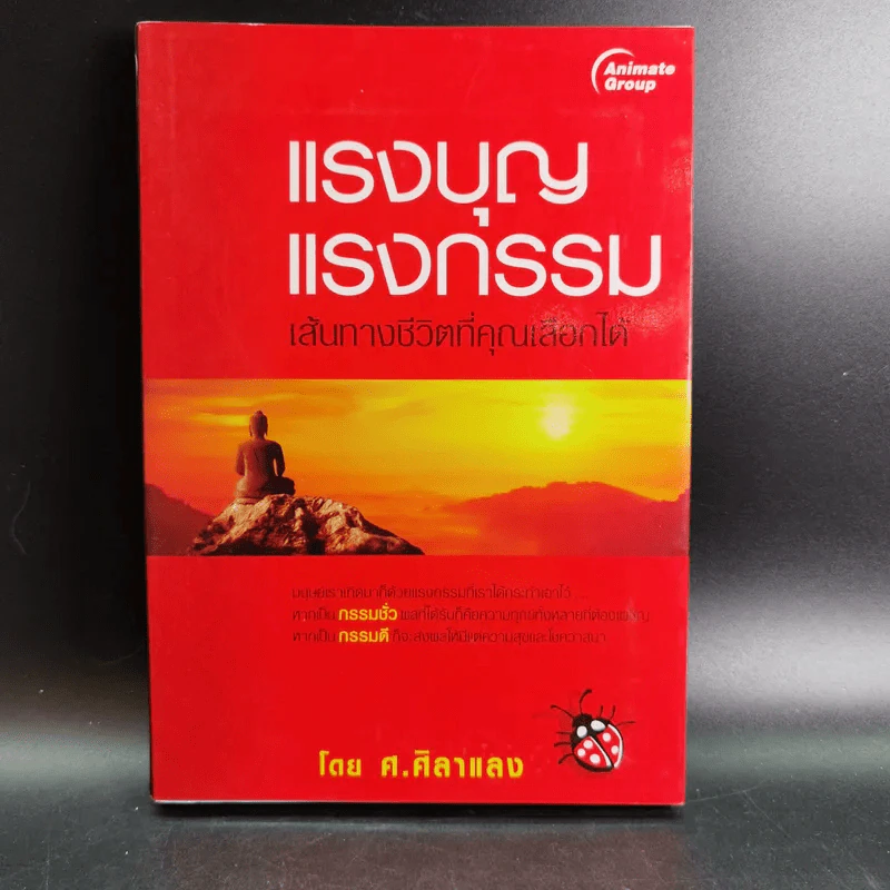 แรงบุญ แรงกรรม เส้นทางชีวิตที่คุณเลือกได้ - ศ.ศิลาแลง รูปที่ 1