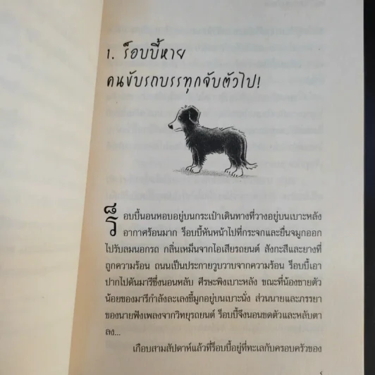 ร็อบบี้ ผมอยากกลับบ้าน รูปที่ 10