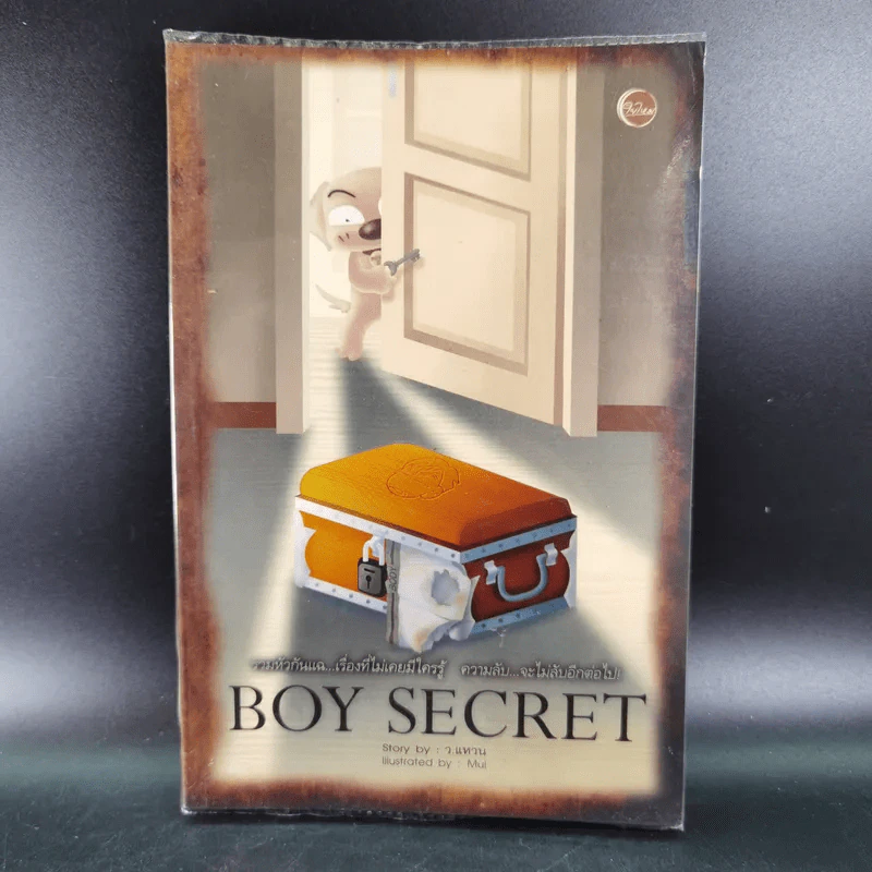 Boy Secret - ว.แหวน รูปที่ 1