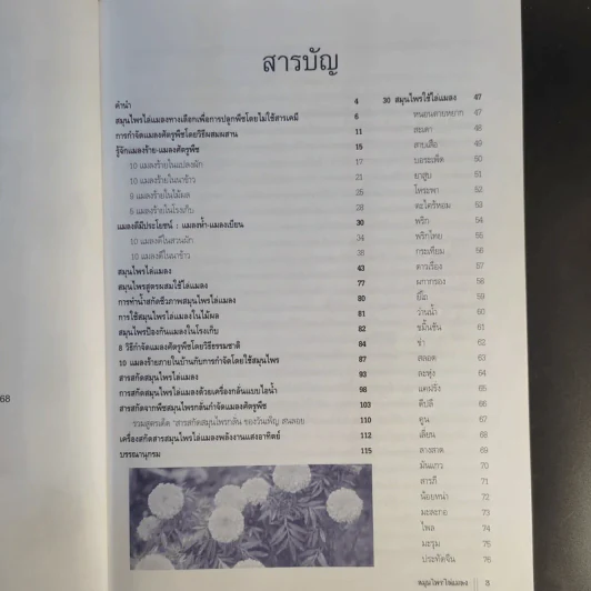 สมุนไพรไล่แมลง 30 สมุนไพรกำจัดศัตรูพืช รูปที่ 10