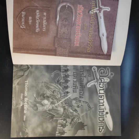 อัศวินดาบมังกร เล่ม 2,3,6 รูปที่ 20