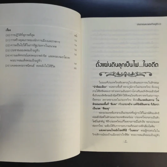 ประชาชนของพระเจ้าอยู่หัว - ณรงค์ อิ่มเย็น รูปที่ 10