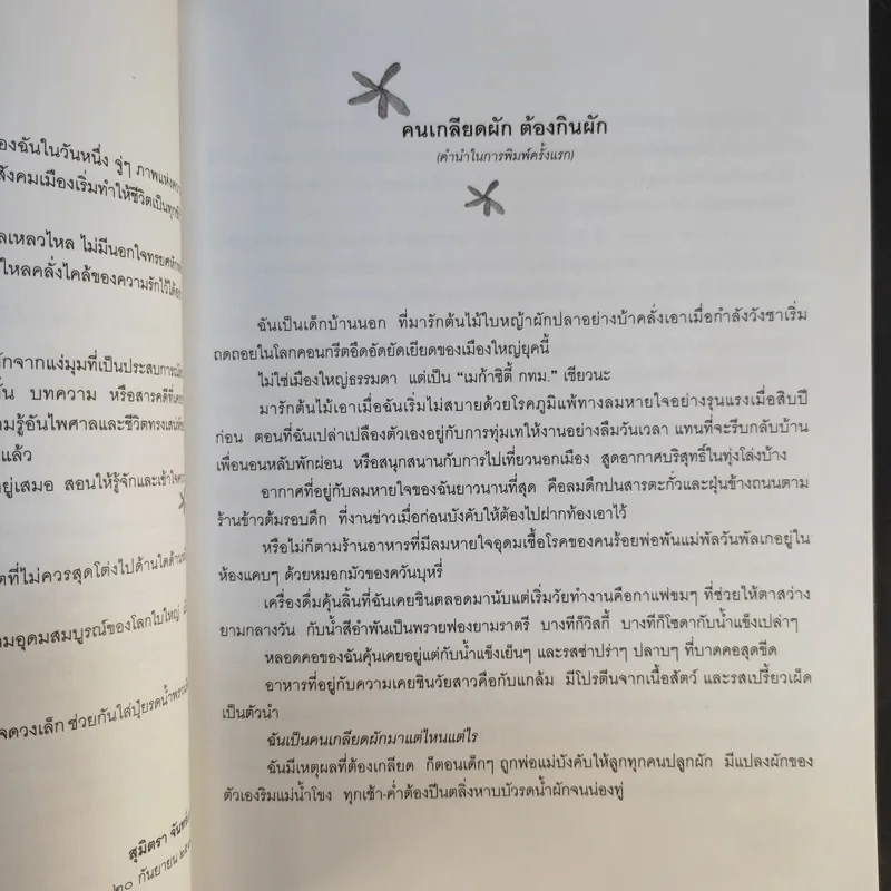คนรักผัก + พาเหรดสวนผัก - สุมิตรา จันทร์เงา รูปที่ 9
