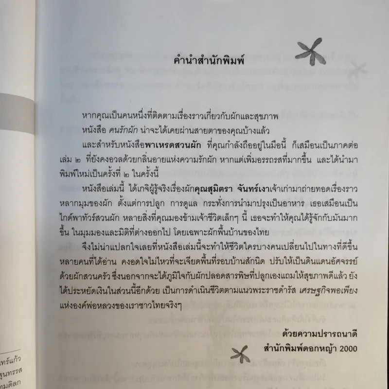 คนรักผัก + พาเหรดสวนผัก - สุมิตรา จันทร์เงา รูปที่ 16