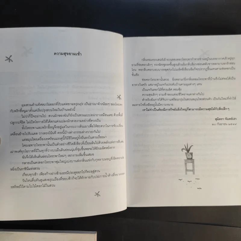 คนรักผัก + พาเหรดสวนผัก - สุมิตรา จันทร์เงา รูปที่ 17