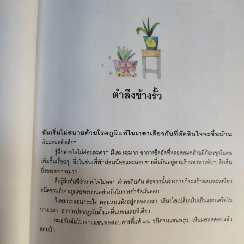 คนรักผัก + พาเหรดสวนผัก - สุมิตรา จันทร์เงา รูปที่ 12