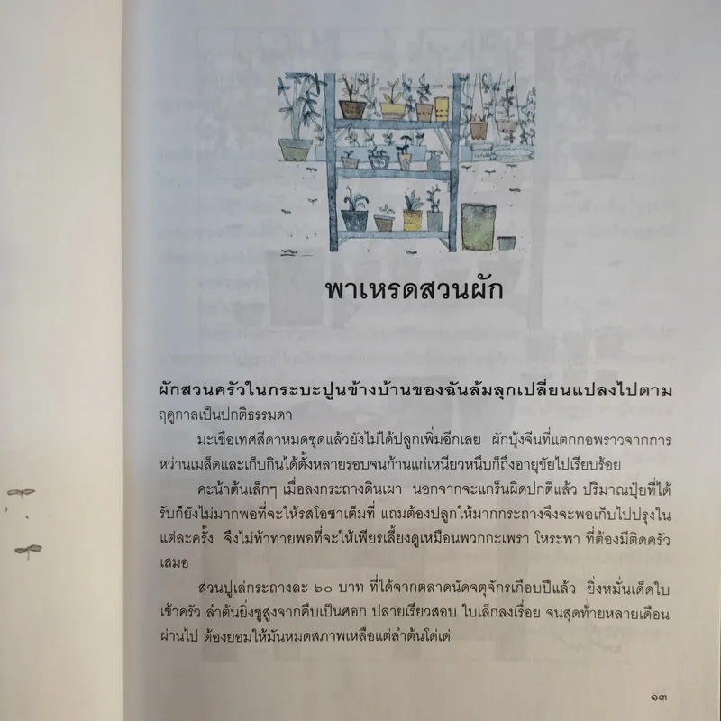 คนรักผัก + พาเหรดสวนผัก - สุมิตรา จันทร์เงา รูปที่ 19