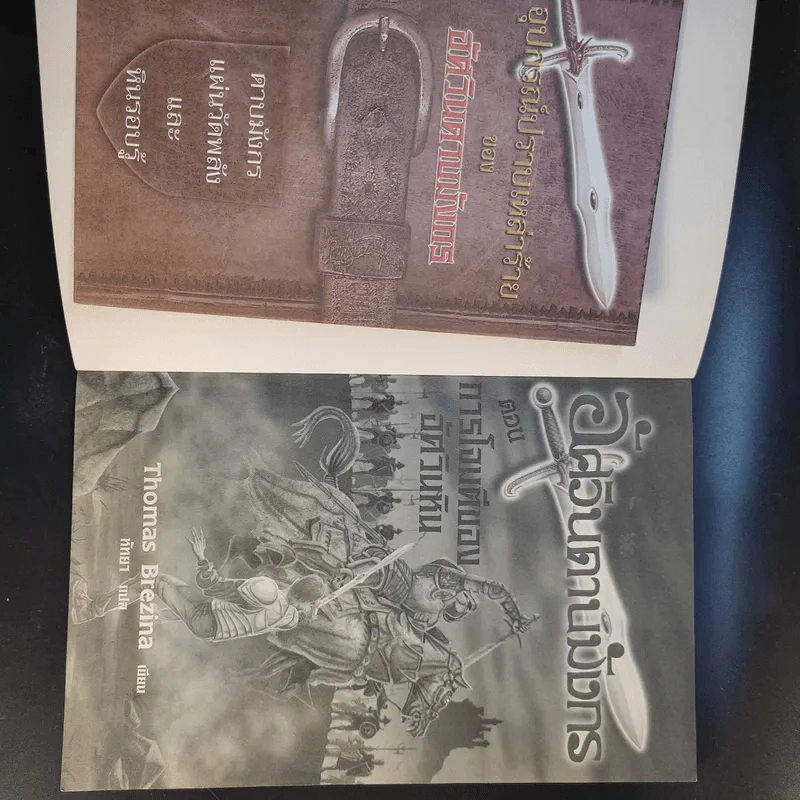 อัศวินดาบมังกร เล่ม 2,3,6 รูปที่ 20