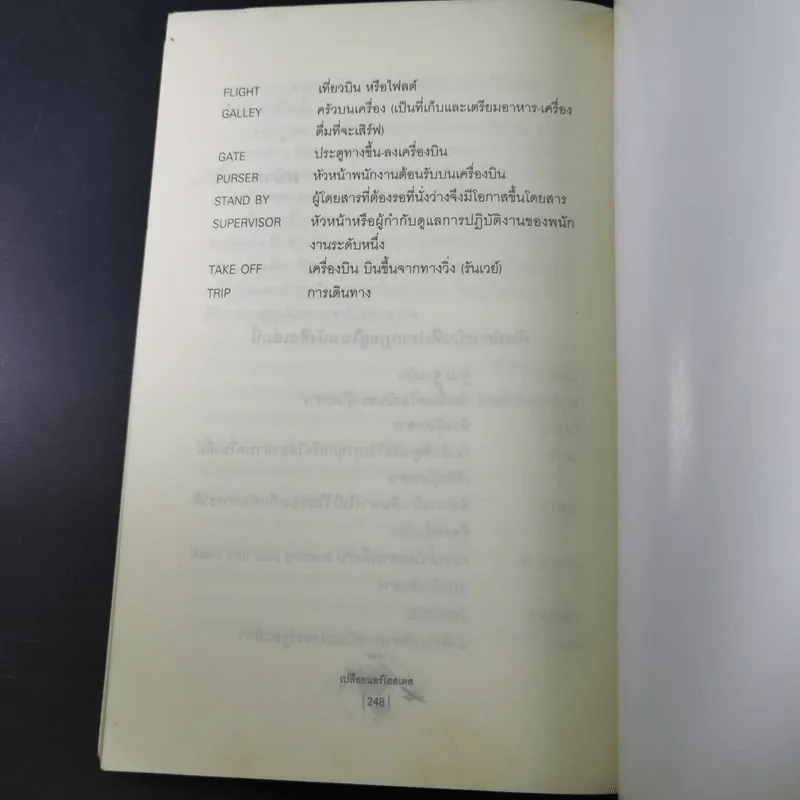 Around the World in a Bad Mood : เปลือยแอร์โฮสเคส - โรจนา นาเจริญ รูปที่ 16