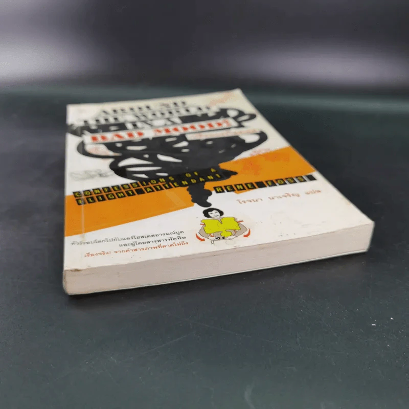 Around the World in a Bad Mood : เปลือยแอร์โฮสเคส - โรจนา นาเจริญ รูปที่ 5
