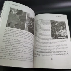 คัมภีร์เศรษฐีมะนาว เทคนิคการปลูกและการบังคับออกผลนอกฤดู รูปที่ 13