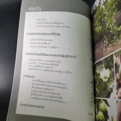 คัมภีร์เศรษฐีมะนาว เทคนิคการปลูกและการบังคับออกผลนอกฤดู รูปที่ 10