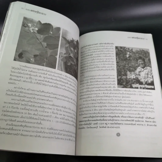 คัมภีร์เศรษฐีมะนาว เทคนิคการปลูกและการบังคับออกผลนอกฤดู รูปที่ 13