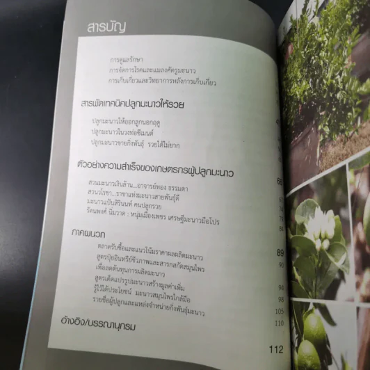 คัมภีร์เศรษฐีมะนาว เทคนิคการปลูกและการบังคับออกผลนอกฤดู รูปที่ 10