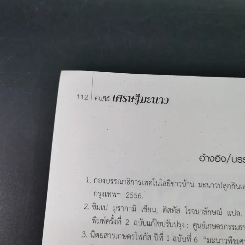 คัมภีร์เศรษฐีมะนาว เทคนิคการปลูกและการบังคับออกผลนอกฤดู รูปที่ 15