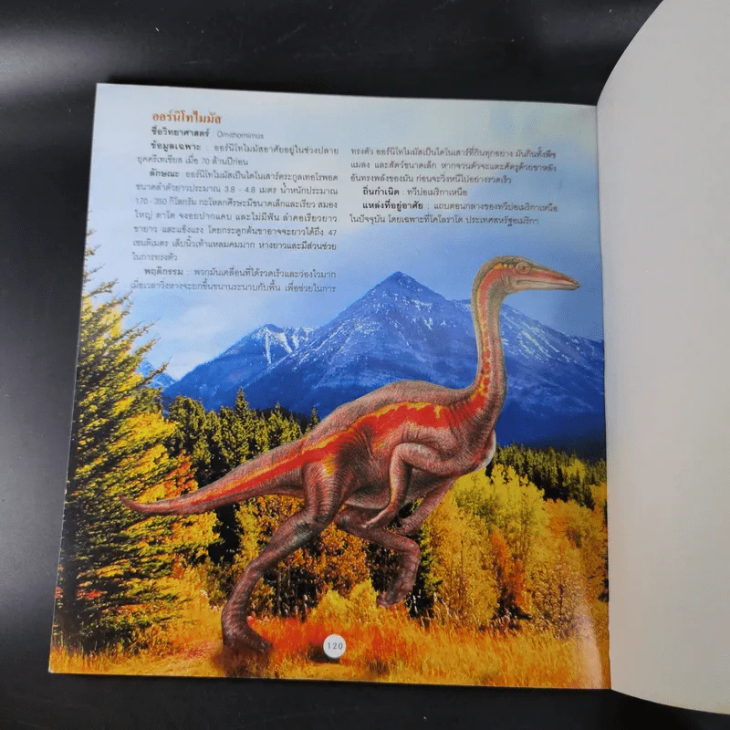ไดโนเสาร์สัตว์โลกล้านปี Dinosaur - Solar รูปที่ 13