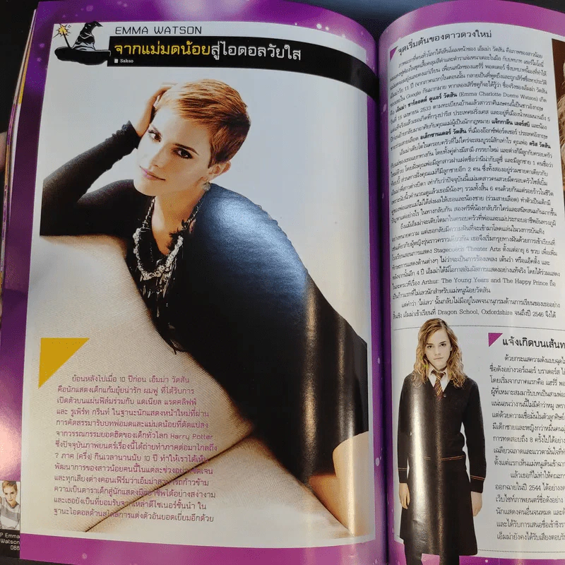 Starpics Special Edition Harry Potter Chronicle รูปที่ 14