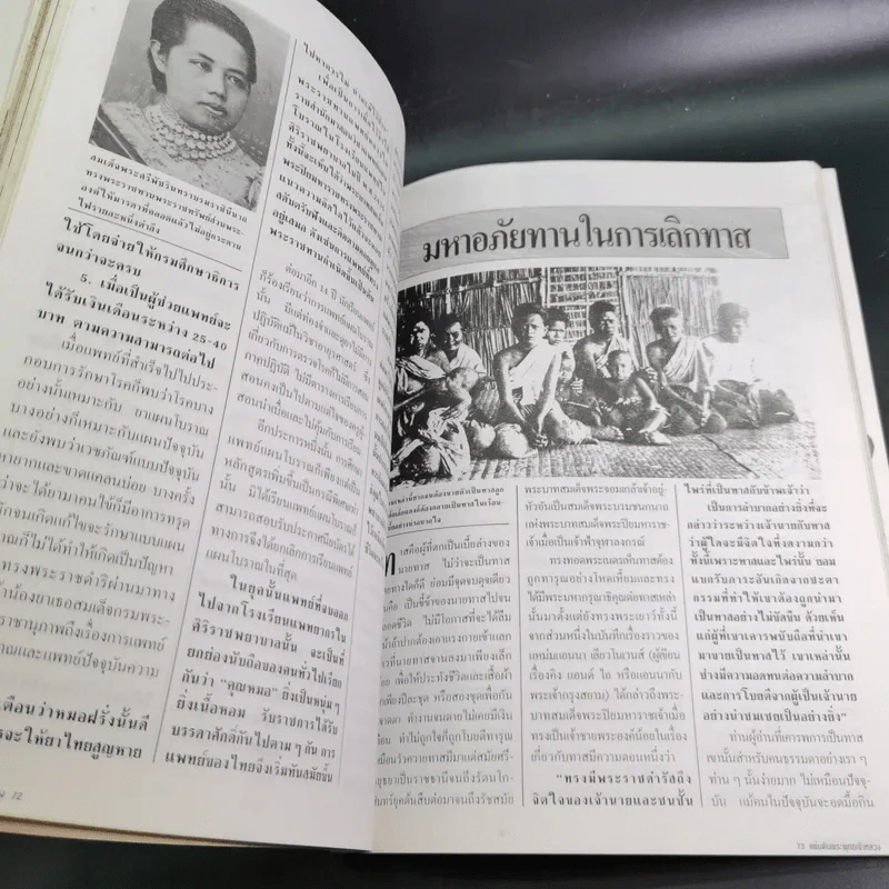 แผ่นดินพระพุทธเจ้าหลวง รูปที่ 9