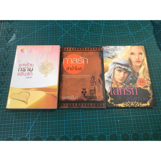 นิยายรัก 3 เล่ม 100 บาท รูปที่ 1