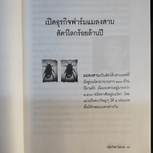เก็กซิมซี่ เซ็งลี้ฮ้อ - คันถ์ชิต วณิชดิลกกุล รูปที่ 15