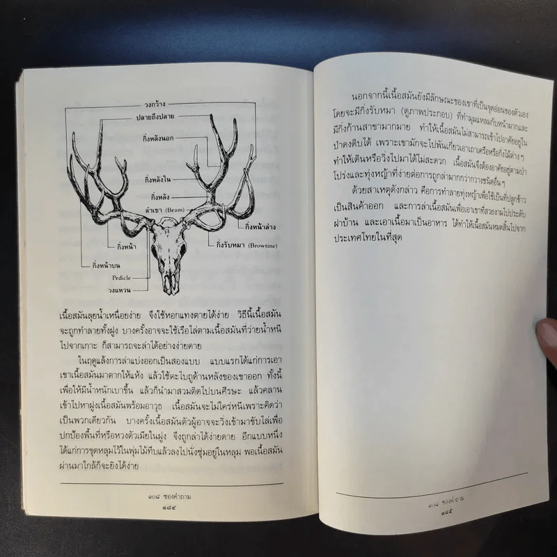 108 ซองคำถาม เล่ม 1 รูปที่ 14