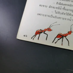 สัตว์เล็กๆที่มีพิษ รูปที่ 13