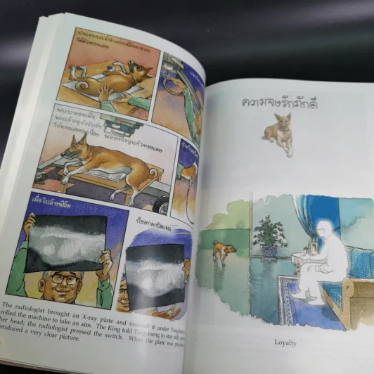 เรื่องทองแดง The Story of Tongdaeng ฉบับการ์ตูน ภาพสี รูปที่ 11
