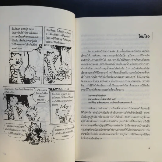 อยากอมทุกข์นักใช่มั้ย คู่มือทรมานชีวิตฉบับสมบูรณ์ - นพดล เวชสวัสดิ์ แปล รูปที่ 13