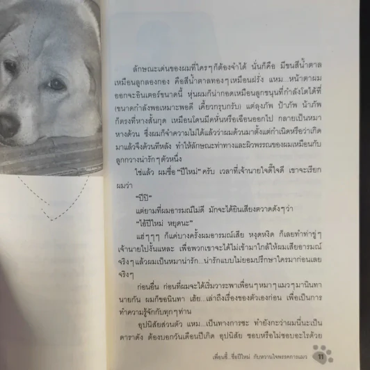 เพื่อนซี้ ชื่อปีใหม่ กับหวานใจพรรคการแมว - แมวดา/มะปอม รูปที่ 13