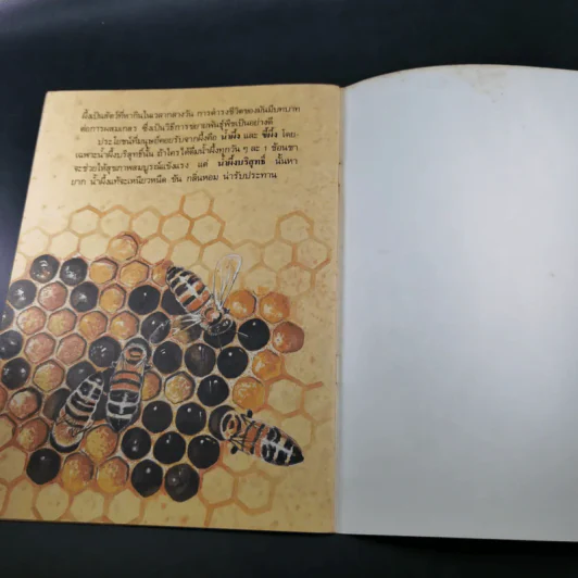 หนังสือเสริมความรู้ชุดธรรมชาติสัตว์ ผึ้งแสนขยัน รูปที่ 11