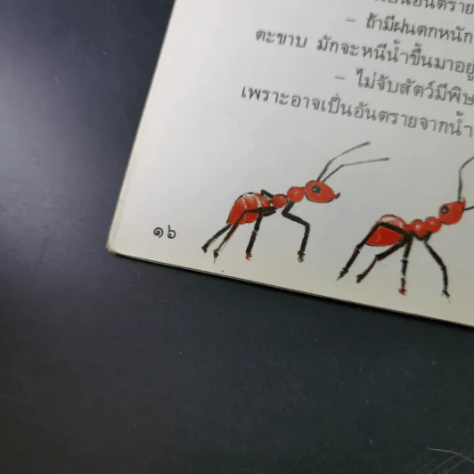 สัตว์เล็กๆที่มีพิษ รูปที่ 13