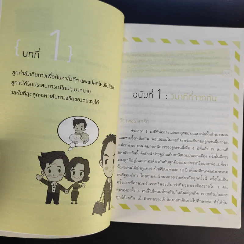 เลี้ยงลูกผ่าน E-Mail - ศาสตราจารย์ นายแพทย์พิภพ จิรภิญโญ รูปที่ 11