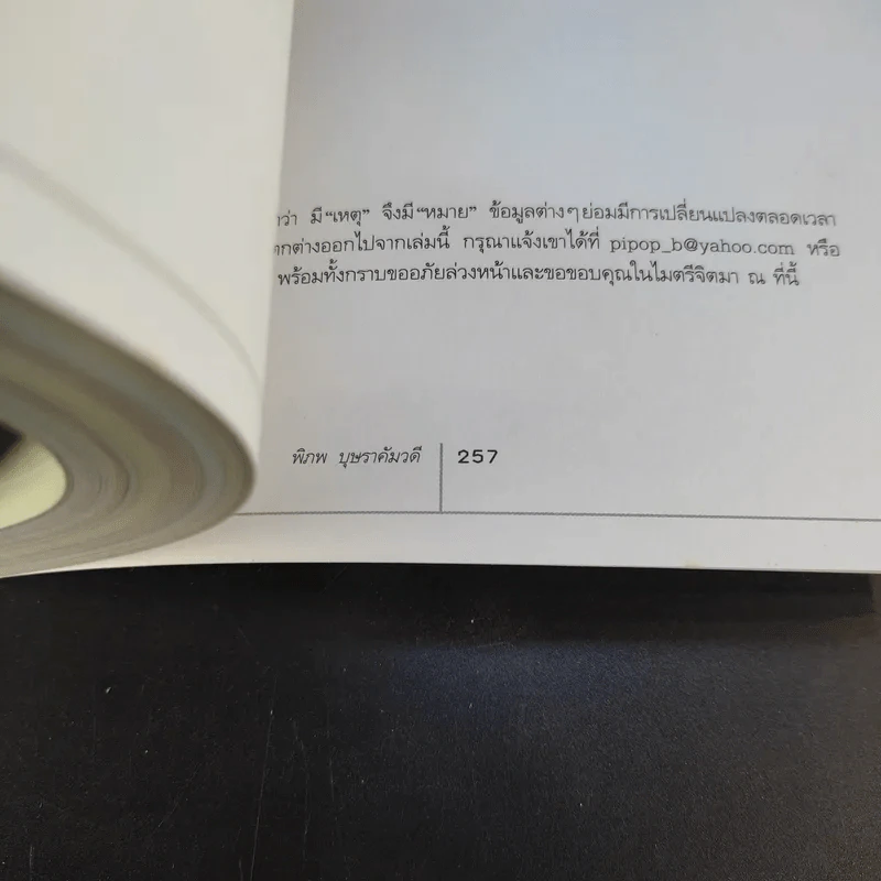 พม่าตราตรึง - พิภพ บุษราคัมวดี รูปที่ 13
