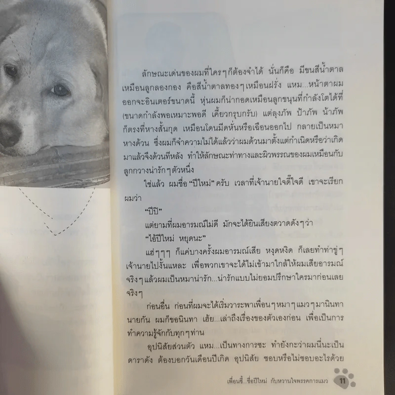 เพื่อนซี้ ชื่อปีใหม่ กับหวานใจพรรคการแมว - แมวดา/มะปอม รูปที่ 13