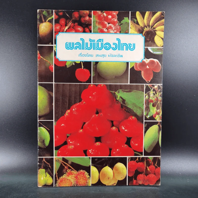 ผลไม้เมืองไทย - สมสุข มัจฉาชีพ รูปที่ 1