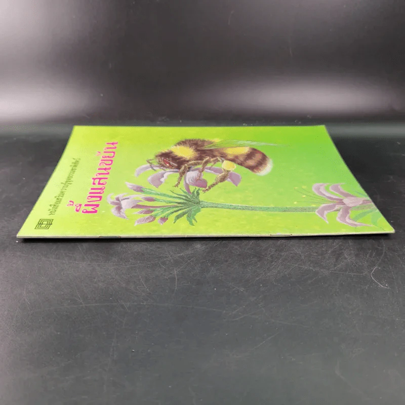 หนังสือเสริมความรู้ชุดธรรมชาติสัตว์ ผึ้งแสนขยัน รูปที่ 3