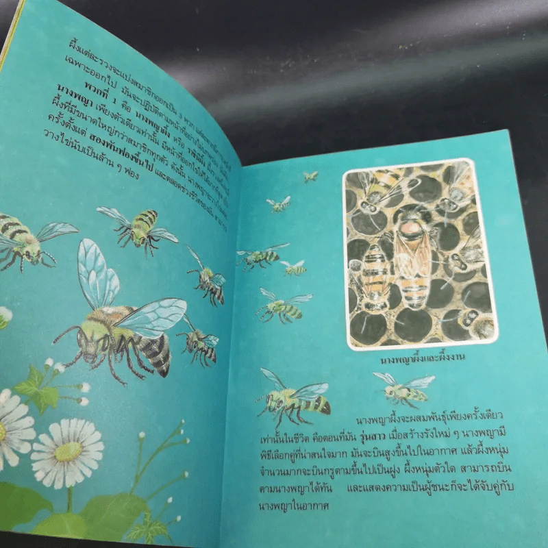 หนังสือเสริมความรู้ชุดธรรมชาติสัตว์ ผึ้งแสนขยัน รูปที่ 10