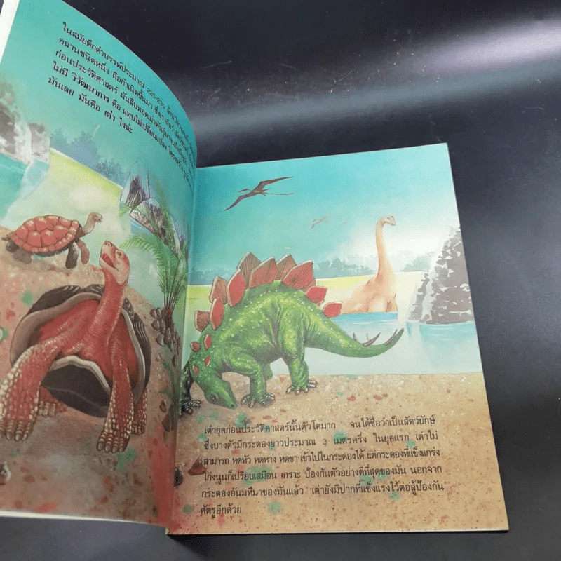 หนังสือเสริมความรู้ชุดธรรมชาติสัตว์ เต่าหลังตุง รูปที่ 9