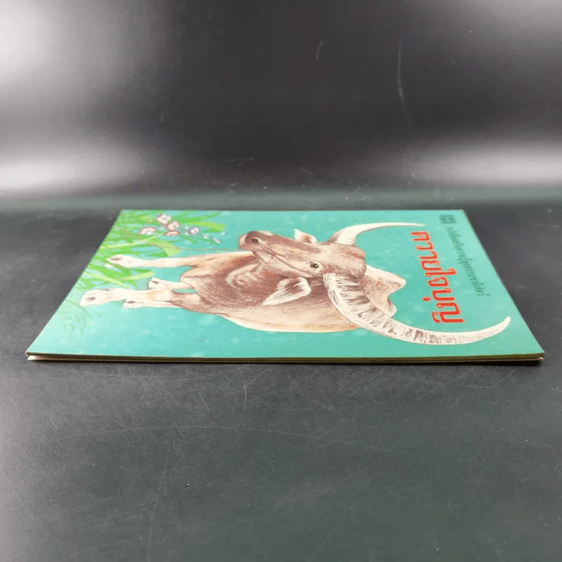 หนังสือเสริมความรู้ชุดธรรมชาติสัตว์ ควายใจบุญ รูปที่ 5