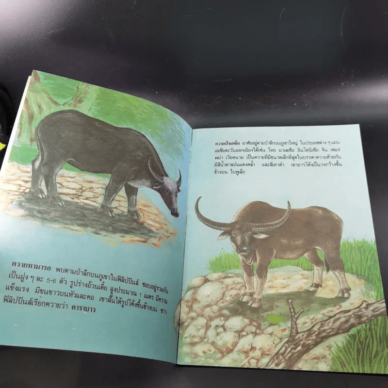 หนังสือเสริมความรู้ชุดธรรมชาติสัตว์ ควายใจบุญ รูปที่ 9