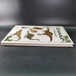 Dinosaur กำเนิดไดโนเสาร์ - Michael Larkson รูปที่ 5