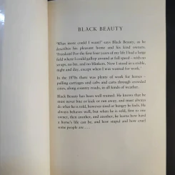 Black Beauty - Anna Sewell รูปที่ 8
