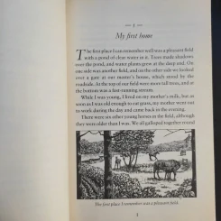 Black Beauty - Anna Sewell รูปที่ 11