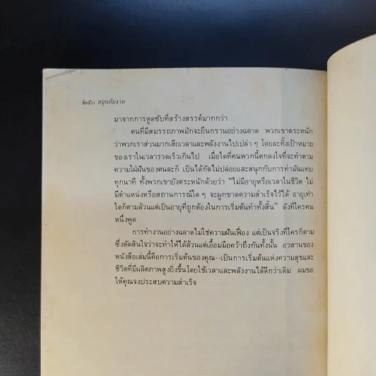 สนุกกับงาน วิธีทำงานอย่างชาญฉลาด รูปที่ 11