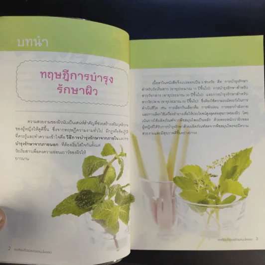 ลดเลือนริ้วรอยด้วยสมุนไพรสด รูปที่ 11
