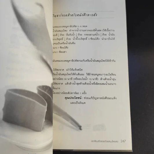ลดเลือนริ้วรอยด้วยสมุนไพรสด รูปที่ 15