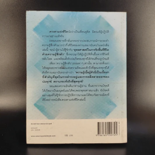 ดวงตาแห่งชีวิต - เขมานันทะ รูปที่ 2