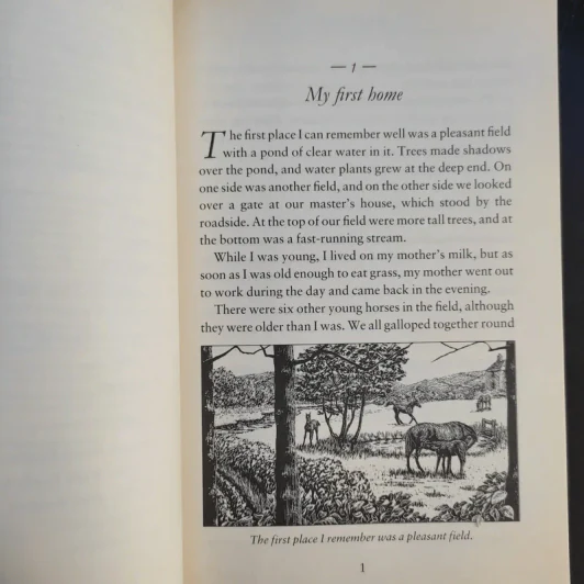 Black Beauty - Anna Sewell รูปที่ 11