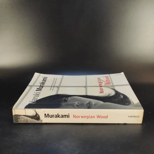 Norwegian Wood - Haruki Murakami รูปที่ 3