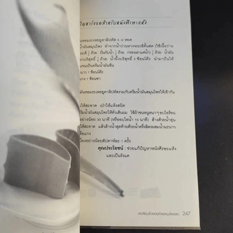 ลดเลือนริ้วรอยด้วยสมุนไพรสด รูปที่ 15